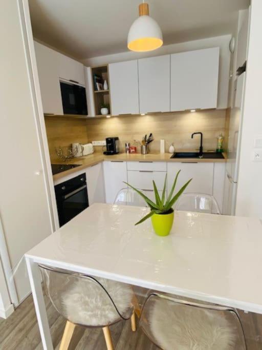 Apartmán Le Saint Hilaire *T2* Orléans Exteriér fotografie